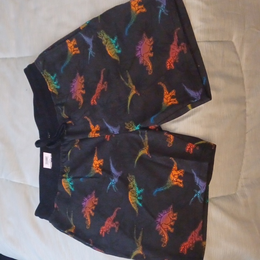 No Boundaries Shorts